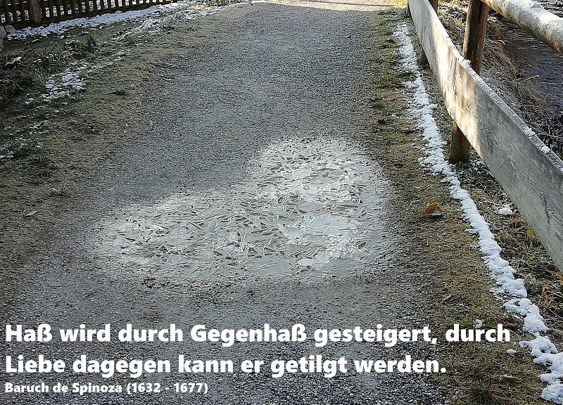 11. Dezember: Hass durch Vergebung und Liebe überwinden!