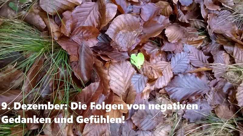 9. Dezember: Die Folgen von negativen Gedanken und Gefühlen!