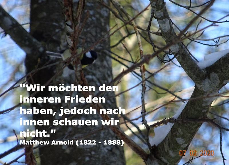 Innenschau für den Inneren Frieden?!