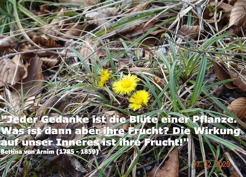 Gedanken sind Schöpfung und haben Wirkung auf unser Innerstes!