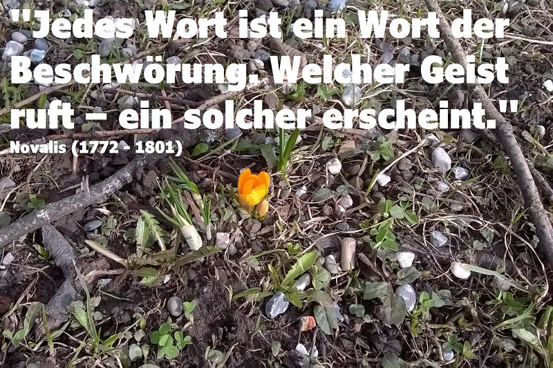 Durch Worte beschwören wir unsere eigene Realität herauf?!